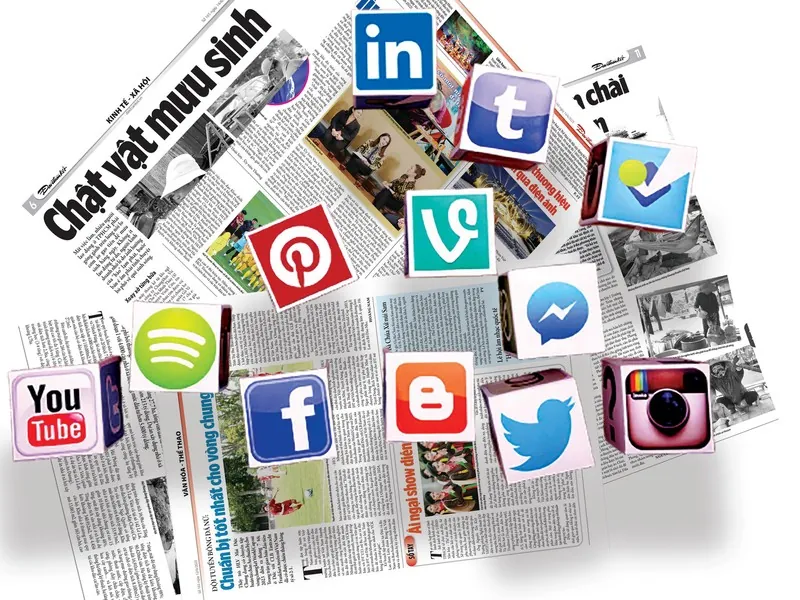 Các quy định và nguyên tắc cộng đồng của TF88